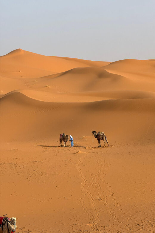 3-Day luxury Adventure: Marrakech to Merzouga incl.Quad/show - A Closer Look at the Itinerary