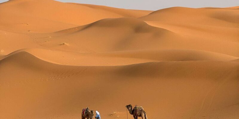 3-Day luxury Adventure: Marrakech to Merzouga incl.Quad/show - Authentic Experiences and Local Insights