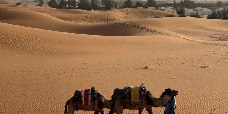 3-Day luxury Adventure: Marrakech to Merzouga incl.Quad/show - Final Thoughts: Who Should Consider This Tour?