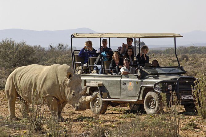 3 Day Luxury Aquila Private Game Reserve - Authentic Experiences & Practical Tips