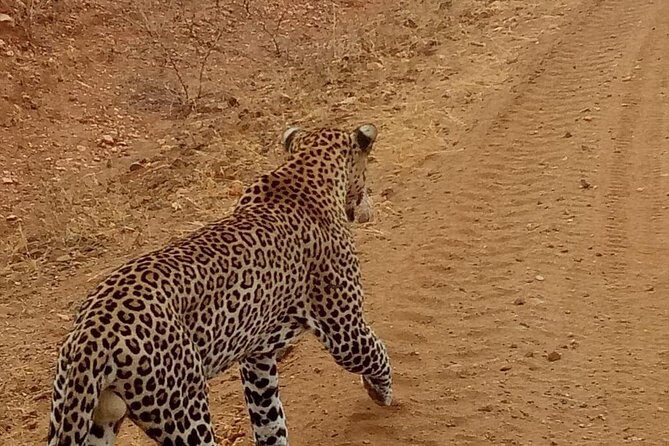 3 day maasai mara budget Camping Group safari - The Accommodation and Camping Experience