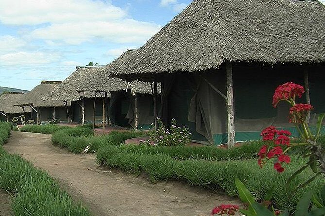 3 Day Maasai Mara Group Joining Camping Safari - Daily Departures - Who Will Enjoy This Safari?