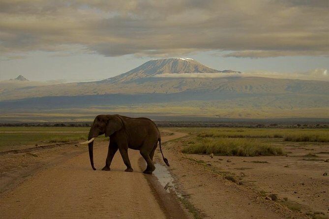 3-Day Maasai Mara Guided Safari From Nairobi - The Journey Through Maasai Mara in Detail
