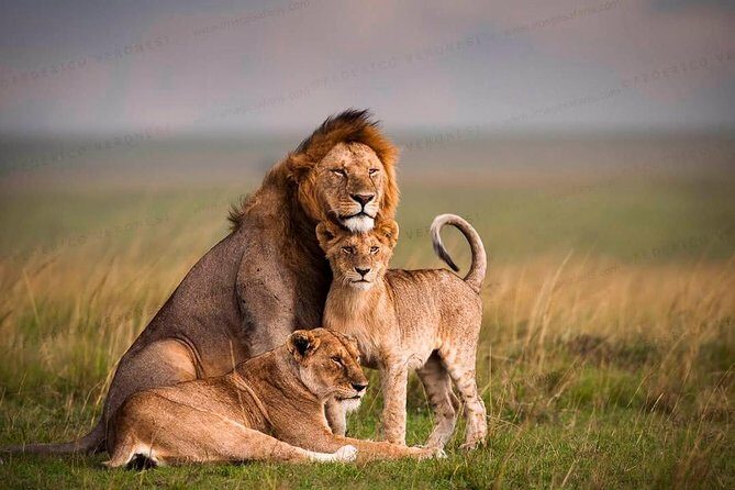 3-Day Maasai Mara Guided Safari From Nairobi - Final Thoughts