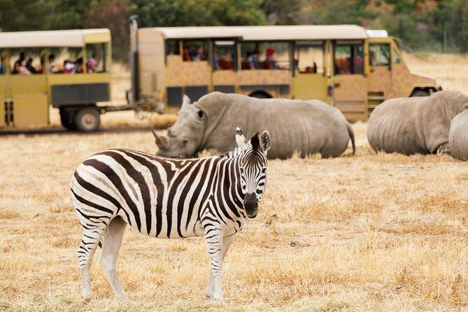 3-Day Maasai Mara Guided Safari From Nairobi - FAQ