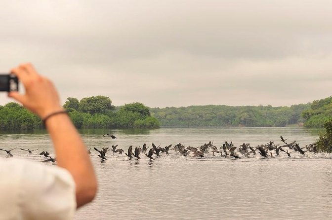 3-day-manaus-amazon-jungle-adventure