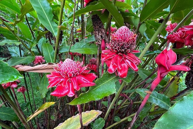 3-day-manu-amazon-rainforest-private-tour