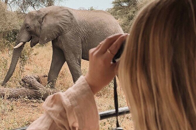 3-Day Manyara, Tarangire and Ngorongoro Crater - Key Points