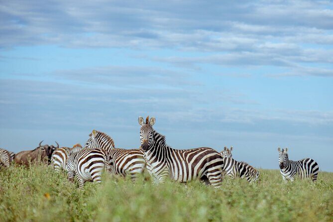 3-Day Manyara, Tarangire and Ngorongoro Crater - The Itinerary Breakdown