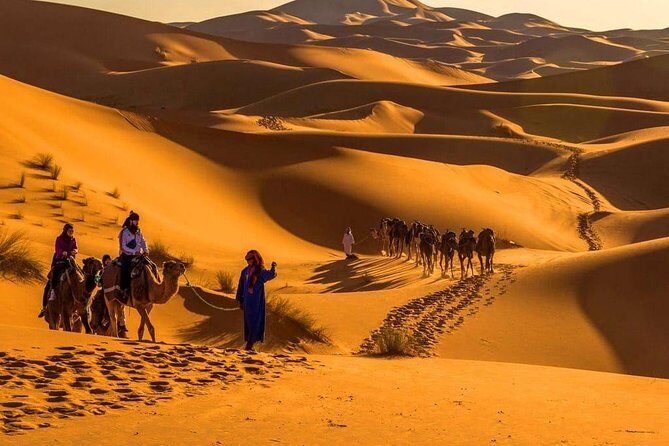 3-Day Marrakech to Fes: Merzouga Desert, Atlas and Ait Ben Haddou - Who Should Book This Tour?