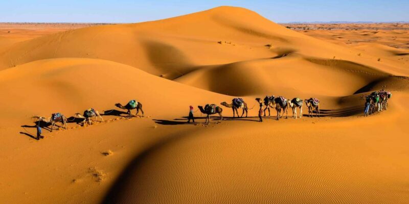 3-Day Marrakech to Merzouga Tour: Camel, Quad, Camp Night - Who Should Consider This Tour?