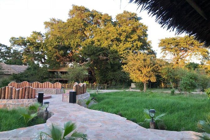 3 DAY MASAI MARA BY AIR (from nairobi) (MINIMUM 2 PAX) - Who Should Consider This Tour?