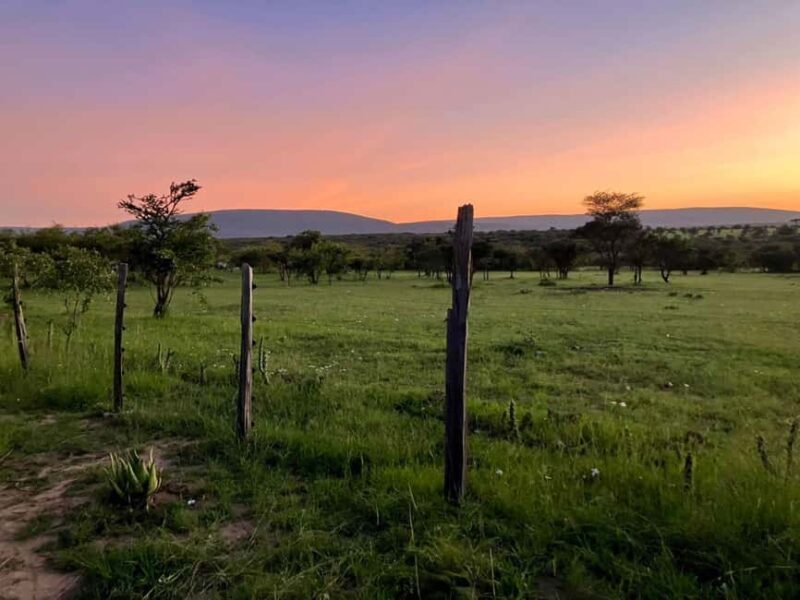 3-Day Masai Mara Camping Safari From Nairobi - Introduction