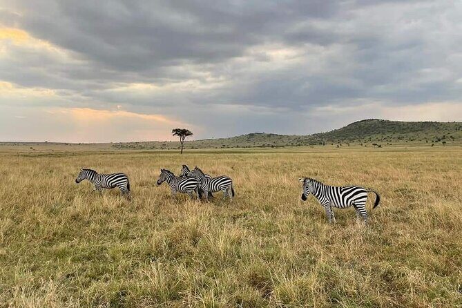 3-Day Masai Mara Group Joining Safari Adventure - FAQ