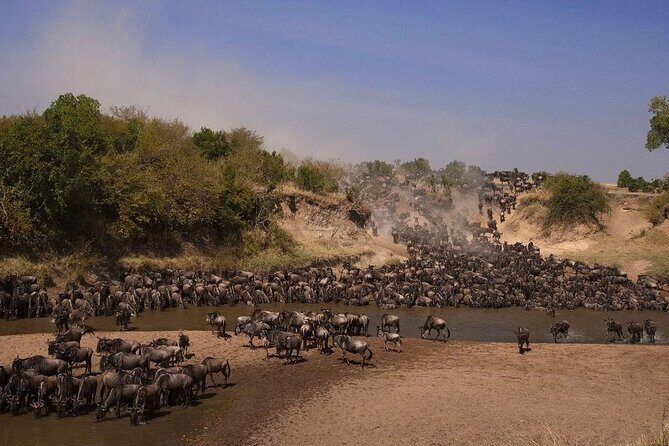 3-Day Masai Mara Group Safari with Pick Up - Exploring the 3-Day Maasai Mara Safari Experience