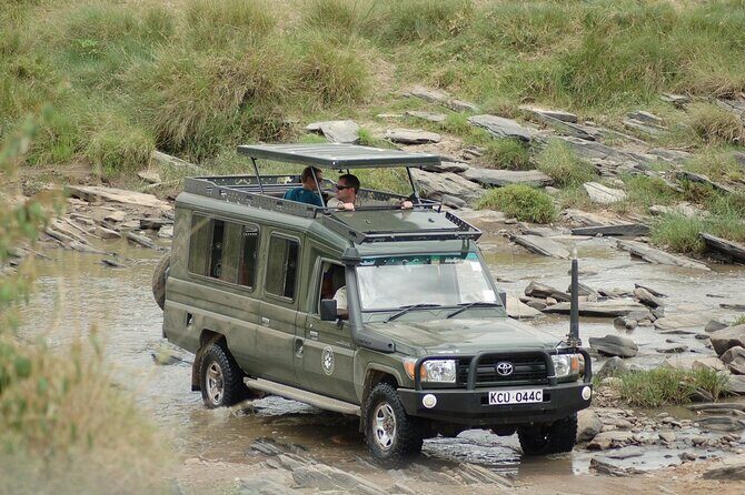 3-Day Masai Mara Group Safari with Pick Up - What Makes This Safari Stand Out?
