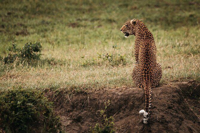 3-Day Masai Mara Luxury Safari - FAQ