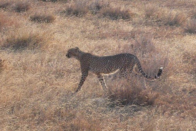 3 Day Masai Mara Safari - Final Thoughts on Value
