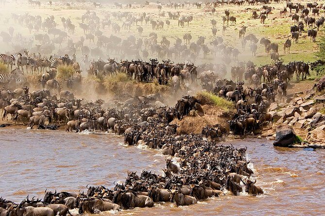 3-day Masai Mara Safari Tour to see the big five and wildebeest migration - Practical Insights for Travelers  