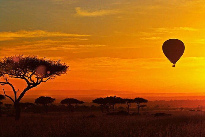 3-day Masai Mara Safari Tour to see the big five and wildebeest migration - FAQ  