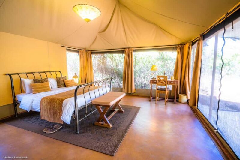 3-Day Meru National Park-Ikweta Safari Camp - Final Thoughts: Who Will Love This Safari?