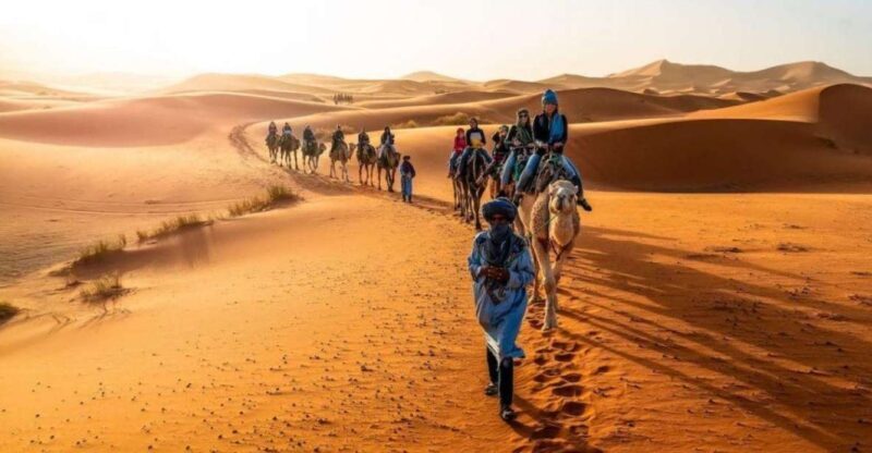 3-Day Merzouga Trip: Camel Ride, Food & Budget Camping - Key Points