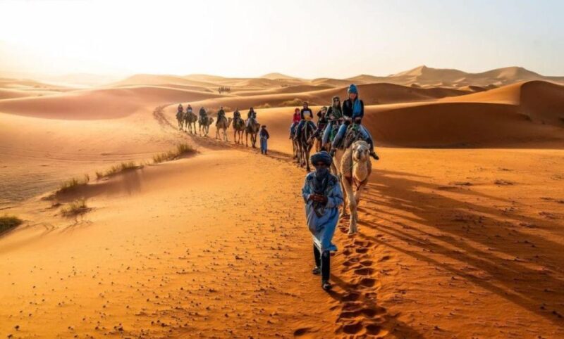 3-Day Merzouga Trip: Camel Ride, Food & Budget Camping - Final Thoughts: Who Is This Tour Best For?