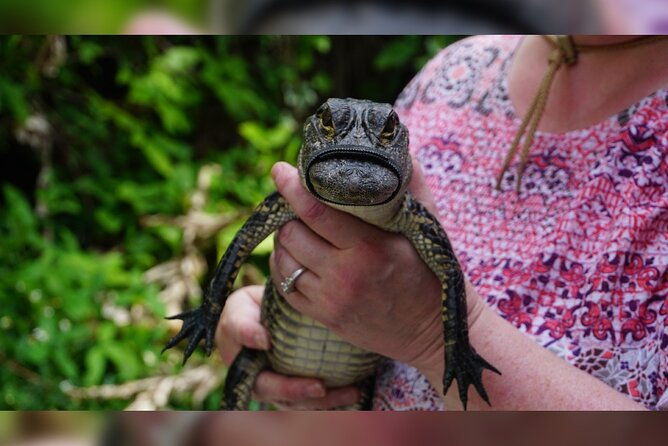 3-day-miami-beach-with-miami-bus-boat-tour-everglades-and-keywest-boat-tour