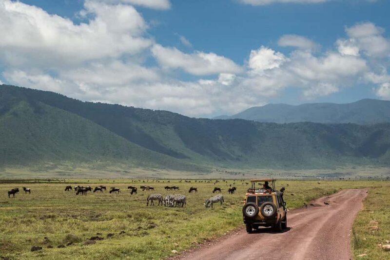 3-Day Mikumi and Ruaha National Parks Safari - Overview of the 3-Day Safari Experience