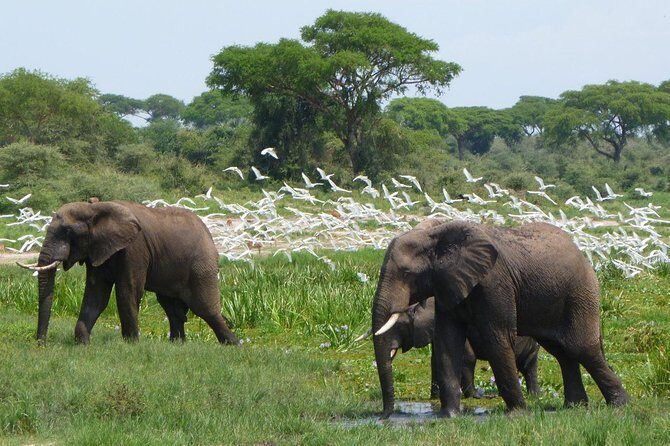 3-Day Mind Refreshing in Murchison Falls National Park - Exploring the Itinerary in Detail