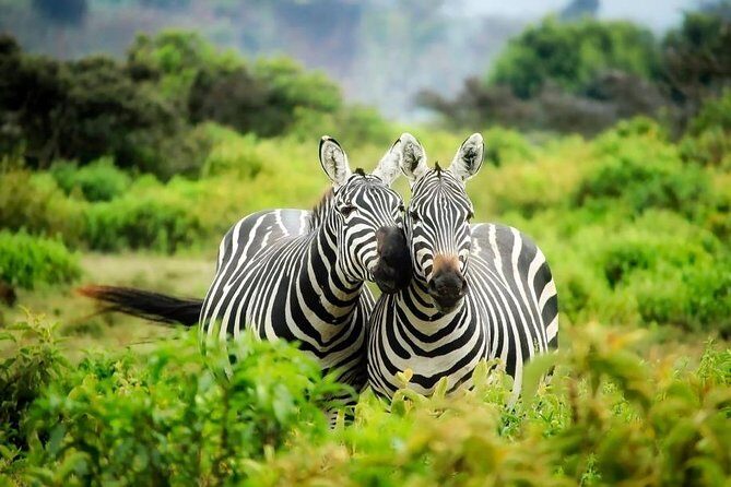 3-Day Mind Refreshing in Murchison Falls National Park - FAQ