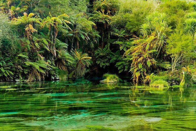 3 Day Minivan Tour From Hamilton to Taupo - FAQ