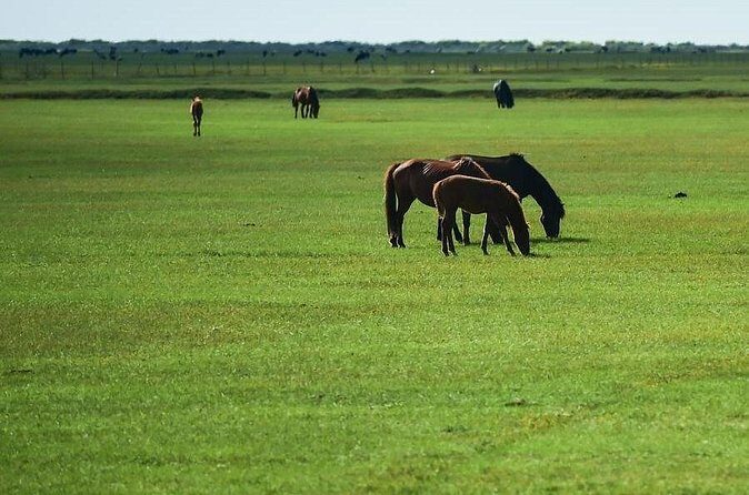 3-Day Mongol Empire Capital of Xanadu Tour from Beijing - FAQs