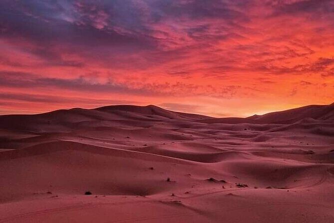 3 Day Morocco Tour: Fes to Marrakech via Sahara & Atlas - What Makes This Tour Stand Out?