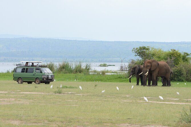 3 Day Murchison Falls' BIG 5 and Wildlife viewing Safari - Who Should Book This Tour?