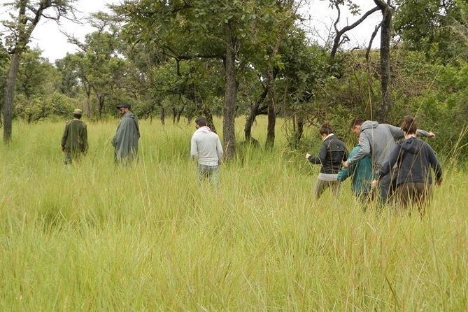 3-Day Murchison Falls National Park - Adventure Safari - In-Depth Review of the 3-Day Murchison Falls Safari