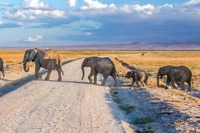 3-Day Ngorongoro Crater Manyara and Tarangire Safari from Arusha - The Value of a Well-Organized Safari