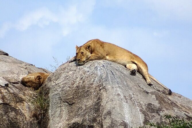 3-Day Ngorongoro Crater Manyara and Tarangire Safari from Arusha - Authentic Experiences and Small Group Benefits