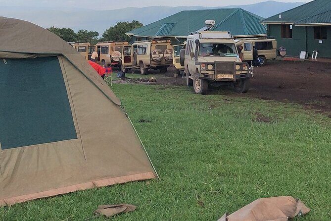 3-Day Ngorongoro Crater Manyara and Tarangire Safari from Arusha - The Sum Up: Who Will Love This Safari?