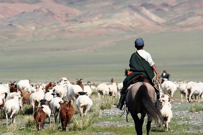 3 Day Nomadic Real Life Experience - Exploring the 3-Day Nomadic Experience in Mongolia
