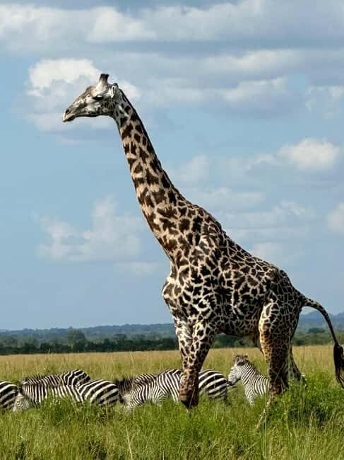 3-Day Nyerere National Park Safari from Zanzibar with Flight - FAQ about the Nyerere National Park Safari from Zanzibar