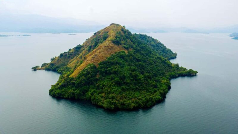 3-Day Nyungwe National Park and Lake Kivu Tour - A Closer Look at the 3-Day Rwanda Adventure