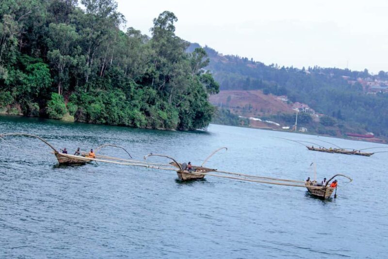 3-Day Nyungwe National Park and Lake Kivu Tour - What We Think Makes This Tour Stand Out