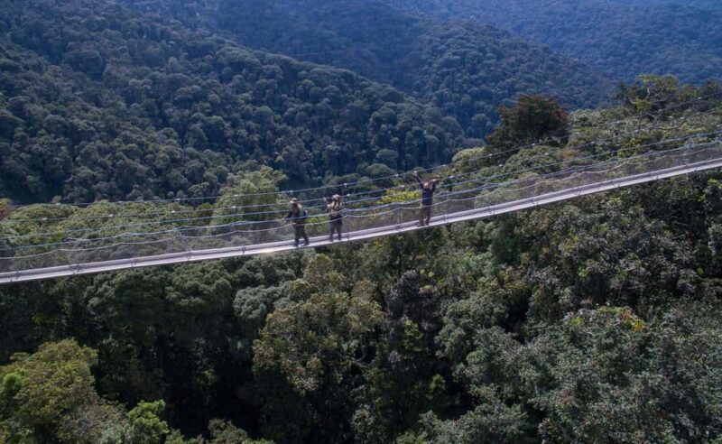 3-Day Nyungwe National Park Safari - Chimpanzee tracking - The Value of This Tour