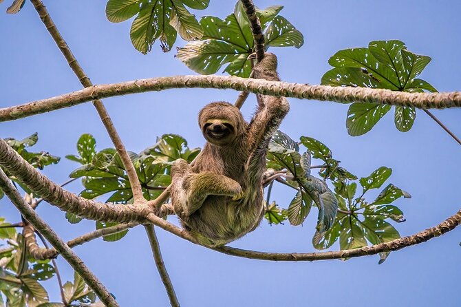 3-day-pacaya-samiria-amazon-nature-reserve-from-iquitos