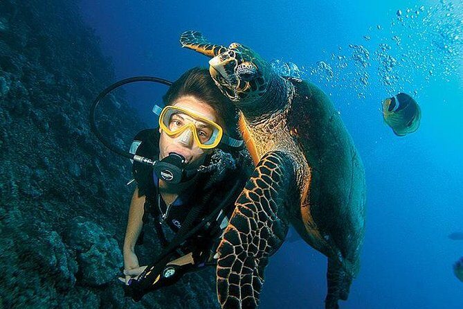 3-Day PADI Open Water Diving Course in Dubai - What to Expect from the 3-Day PADI Open Water Course