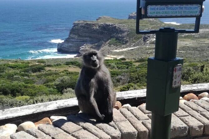 3 Day Private Full Day Cape Town Tour Includes Entries,Peninsula,Wine,City Tour, - Exploring the Itinerary in Detail