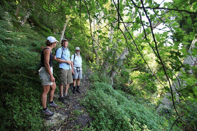 3-Day Private Hiking Trail in The Overberg - Who Should Consider This Tour?