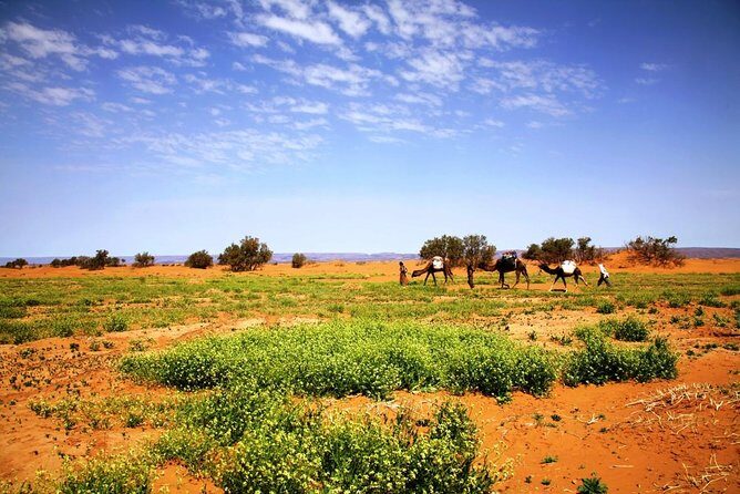 3-Day Private Morocco Desert Tour from Agadir to Erg Chigaga Dunes - Why This Tour Might Suit You