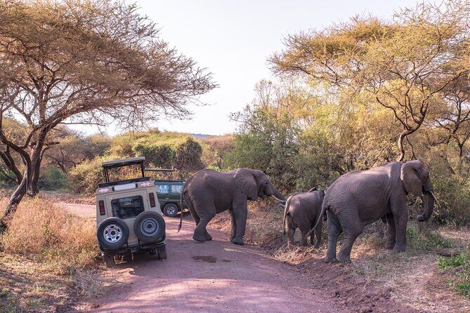 3-Day Private Safari to Lake Manyara, Tarangire & Ngorongoro - What Sets This Tour Apart?